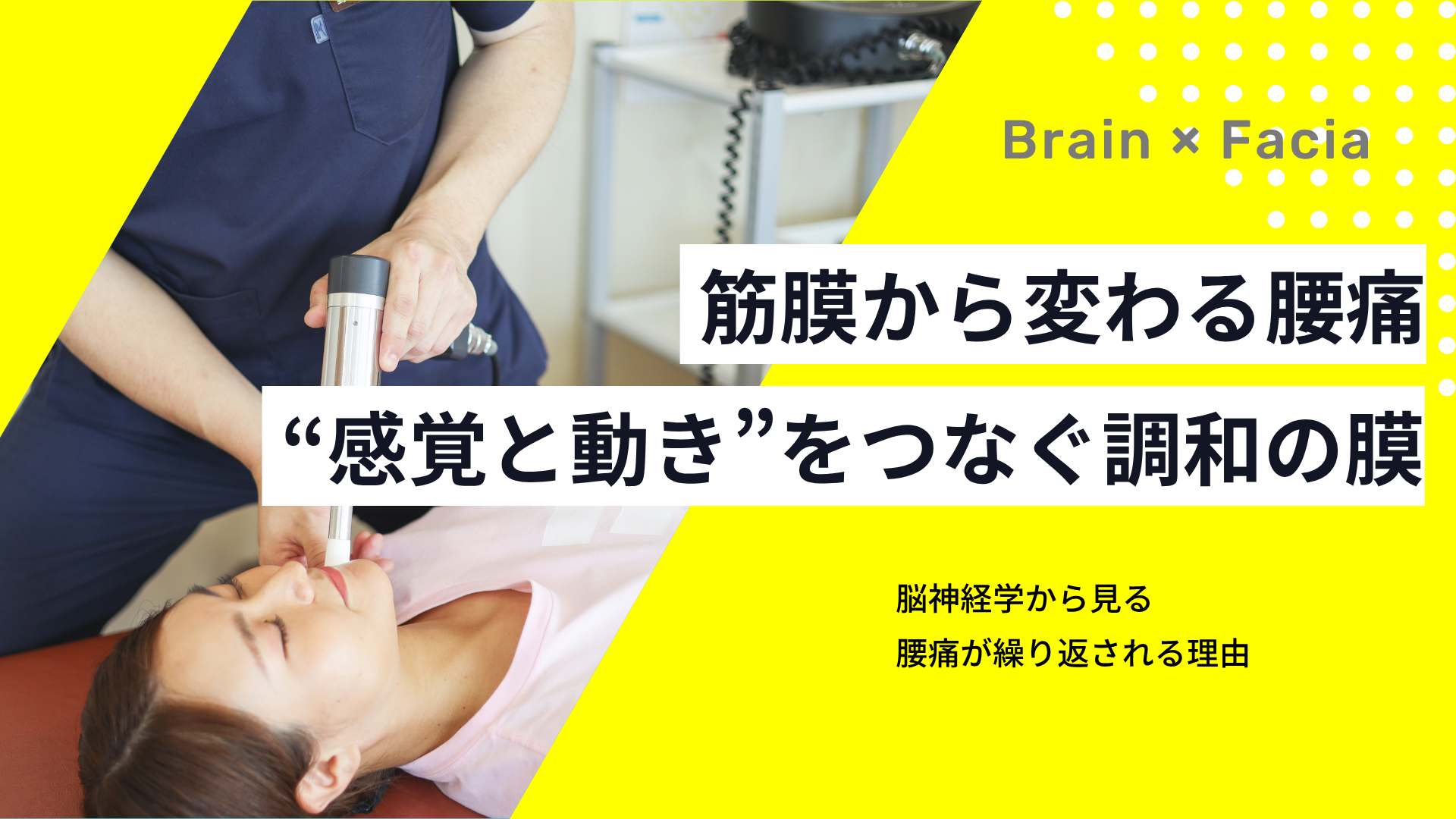筋膜から変わる、あなたの腰痛──“感覚と動き”をつなぐ調和の膜 