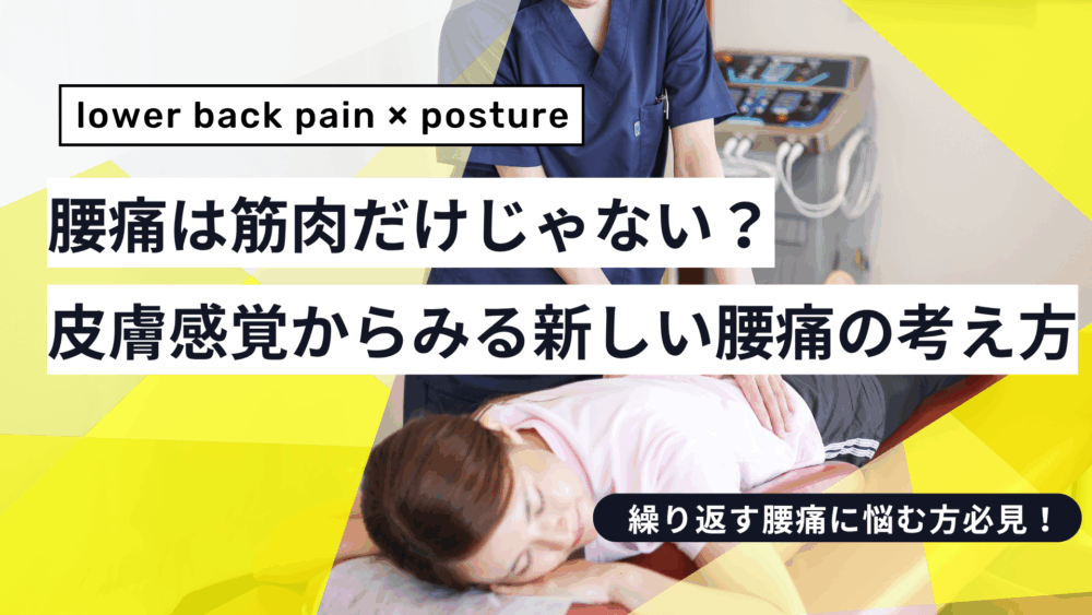 腰痛は筋肉だけじゃない？皮膚感覚からみる新しい腰痛の考え方