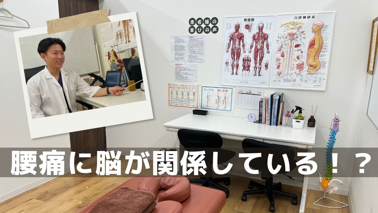 あなたの腰痛は“脳”が原因かも！？