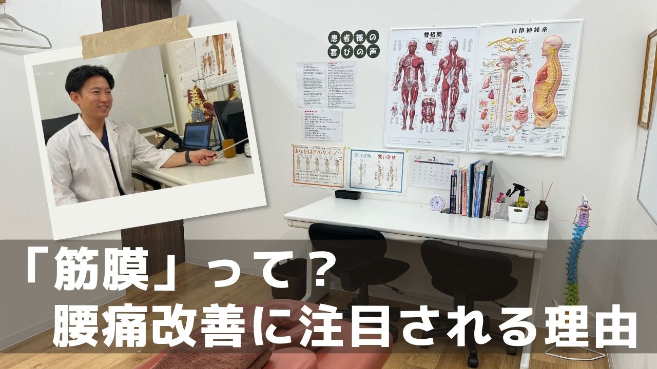 「筋膜」って？──腰痛改善に“筋膜”が注目される理由