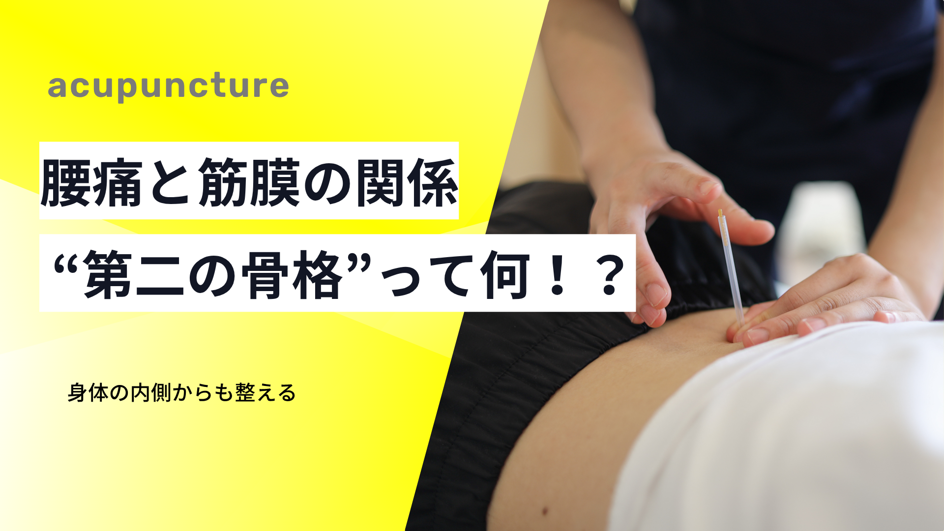 腰痛と筋膜の関係──“第二の骨格”が痛みを左右する理由とは