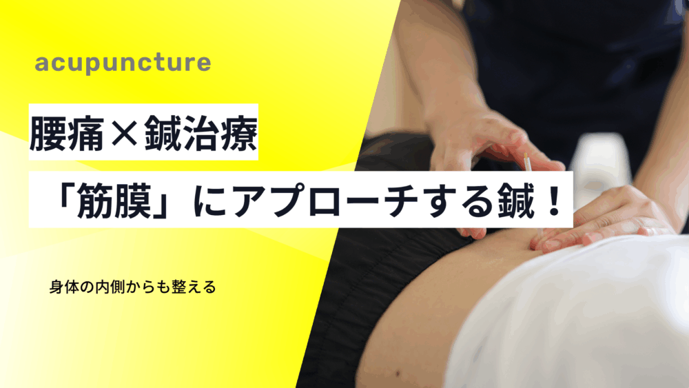 てあつい整体院の鍼は「筋膜」にアプローチ！