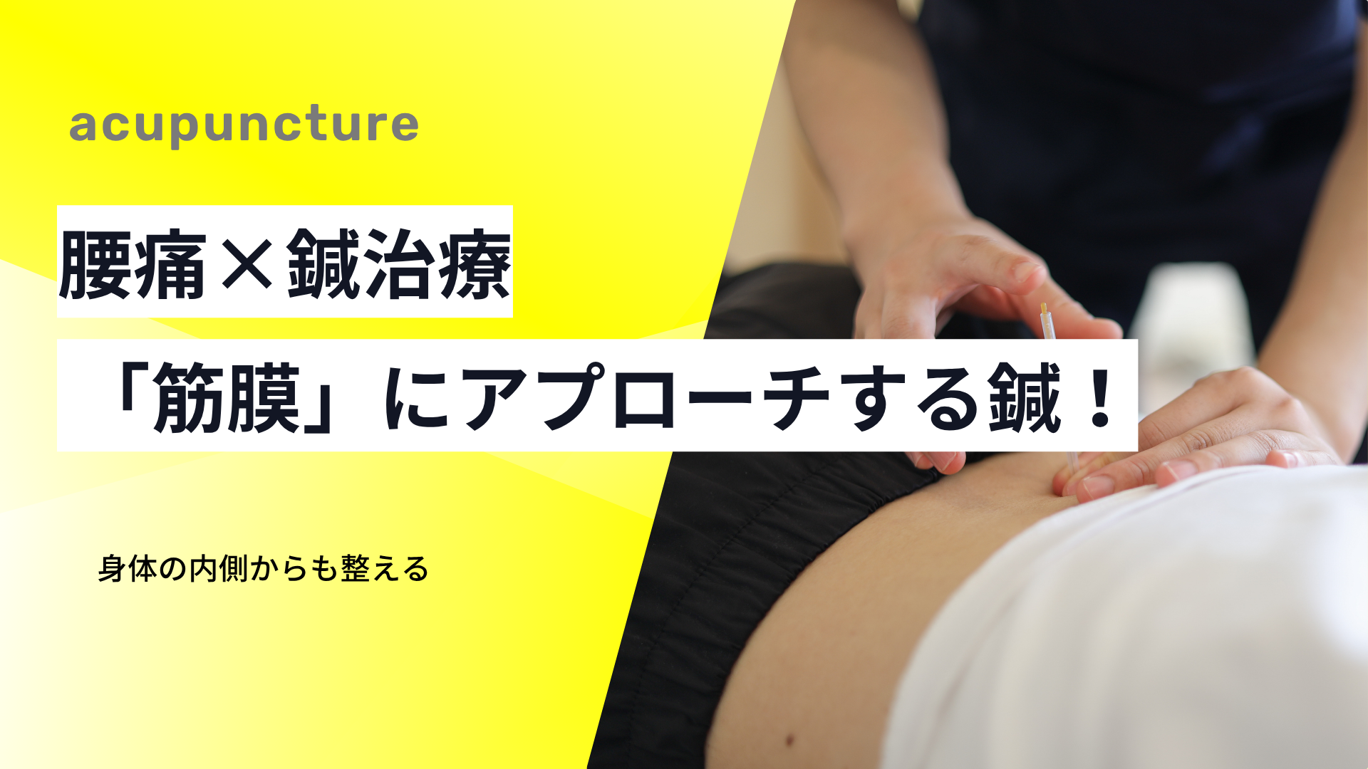 てあつい整体院の鍼は「筋膜」にアプローチ！