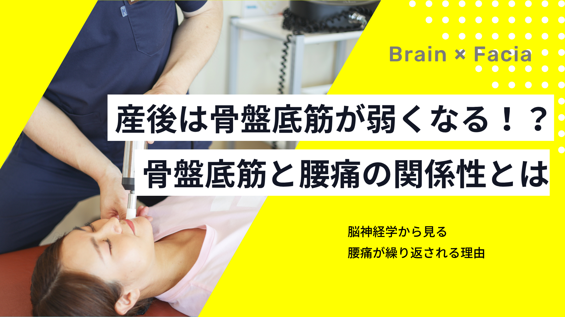 産後は骨盤底筋が弱くなる！？──骨盤底筋と腰痛の関係