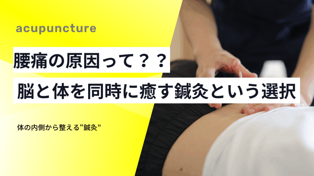 腰痛の原因って？？——脳と体を同時に癒す鍼灸という選択