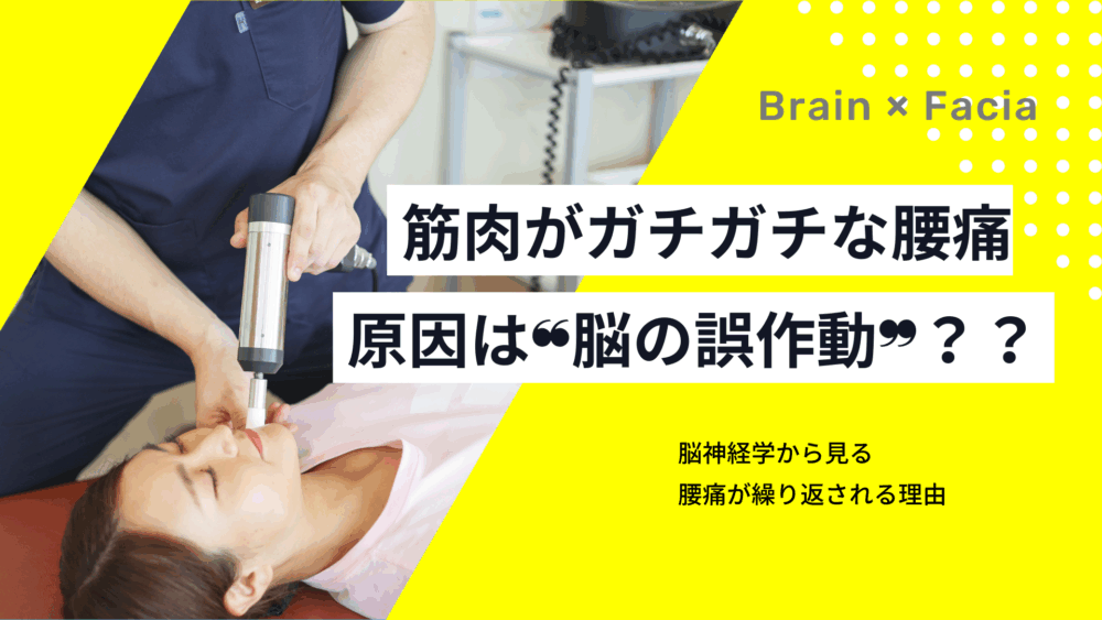 脳の“誤作動”が、筋肉を固めているかもしれません