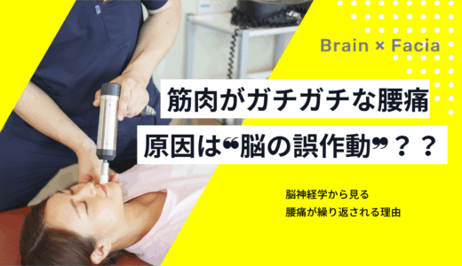 記事画像