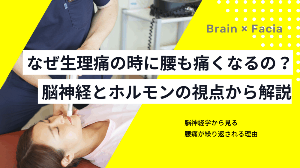 なぜ生理痛の時に腰も痛くなるの？――脳神経とホルモンの視点から解説