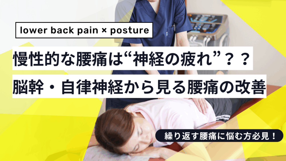 腰痛の本当の原因は“神経の疲れ”？──脳幹・自律神経・姿勢制御の視点