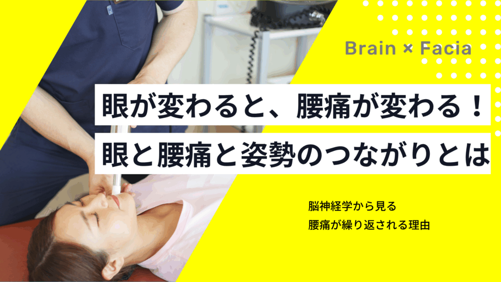 眼の見え方が変わると、腰痛が変わる！眼と腰痛と姿勢のつながりとは