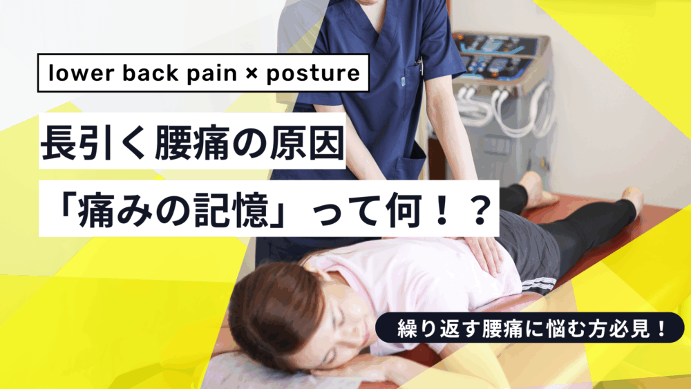 「痛みの記憶」が腰痛を長引かせる──脳と神経から考える慢性腰痛の新しい視点