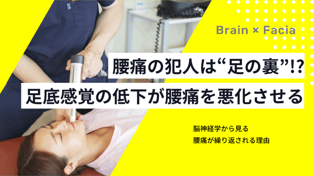 腰痛の犯人は“足の裏”!?足底感覚の低下が腰痛を悪化させる