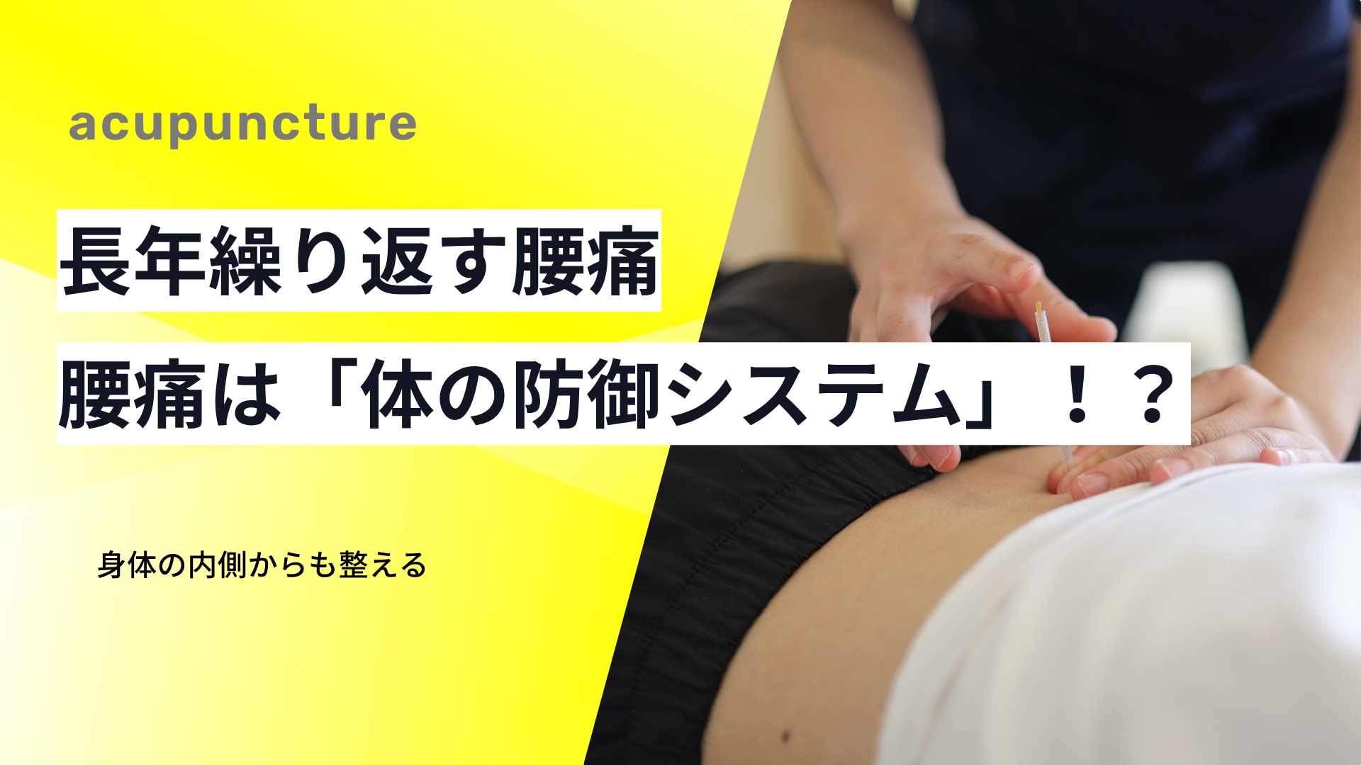 腰痛は「体の防御システム」だった？