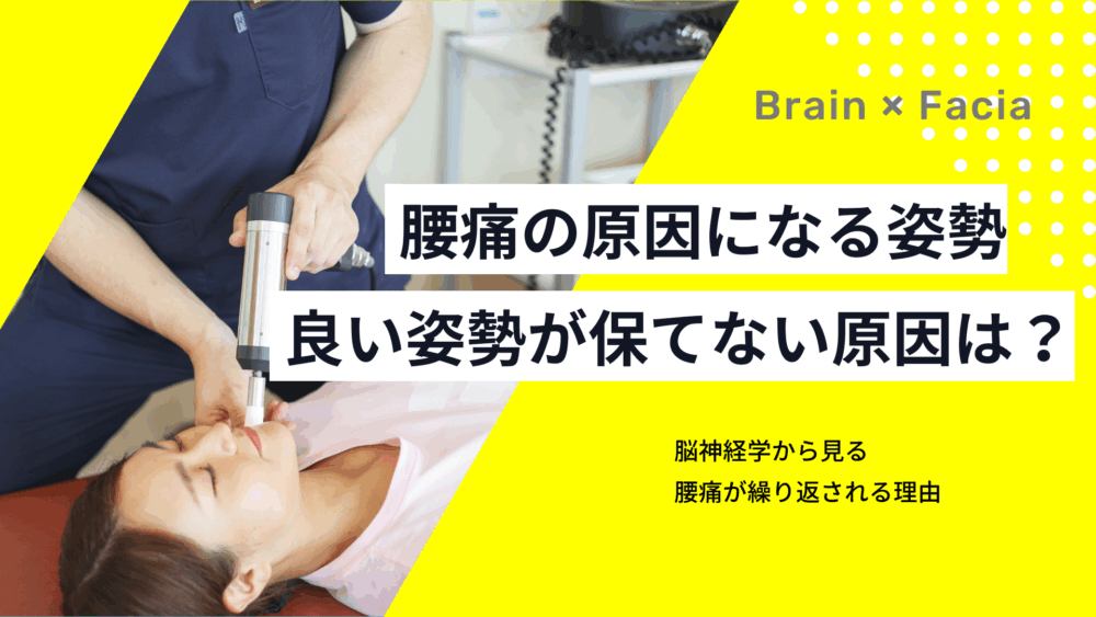 腰痛と姿勢の関係性　「姿勢がすぐに崩れる！」その原因とは