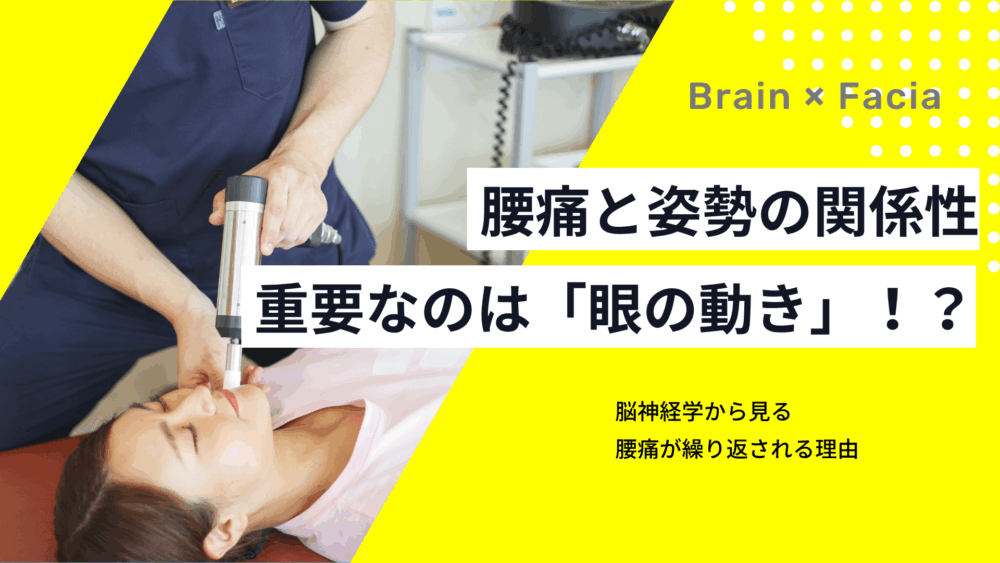 腰痛と眼球運動の関係──“目の動き”が姿勢と痛みに影響する理由