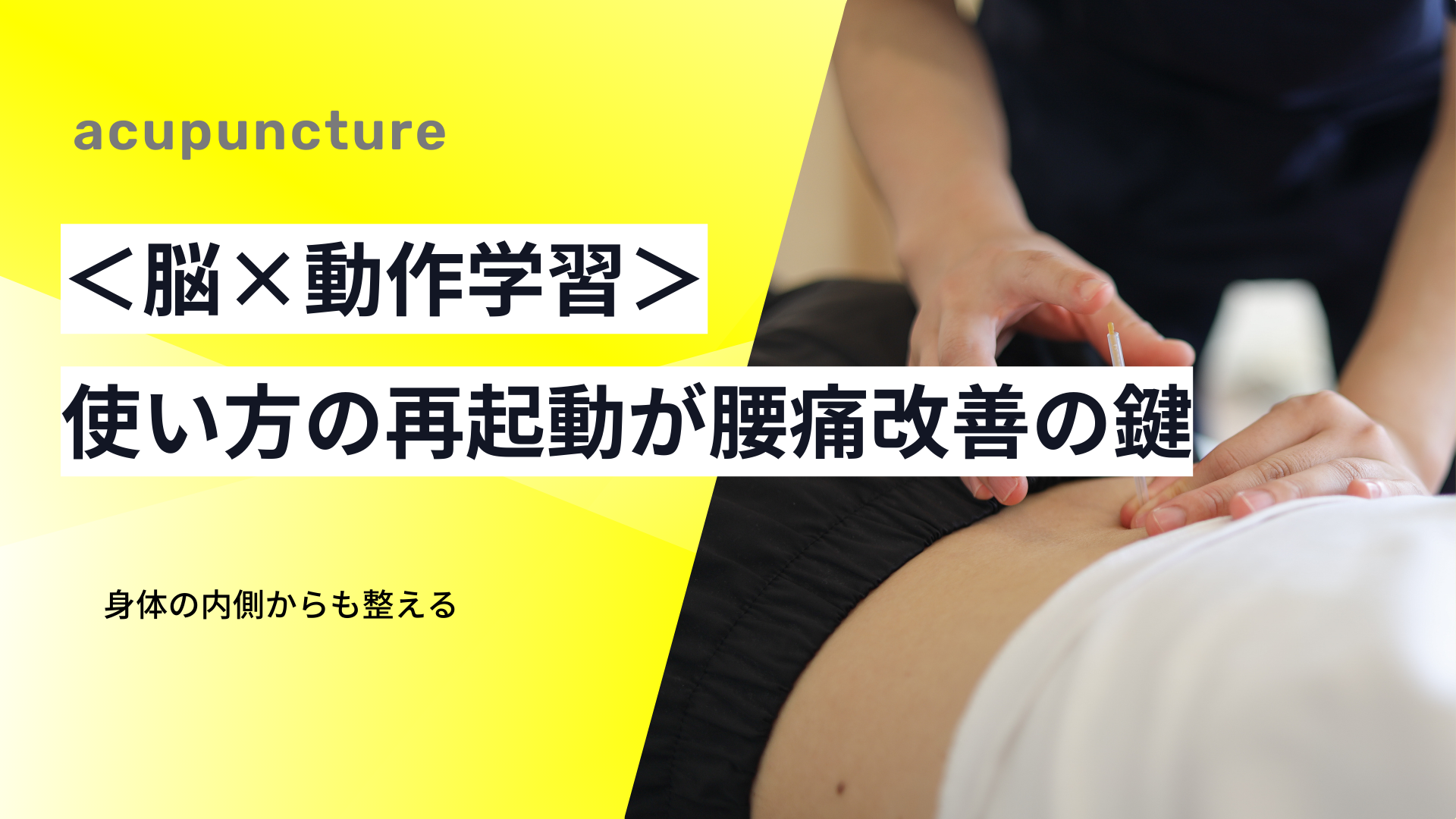 〈脳×動作学習〉“正しい動き方を忘れた身体”が腰痛を生む理由とは？