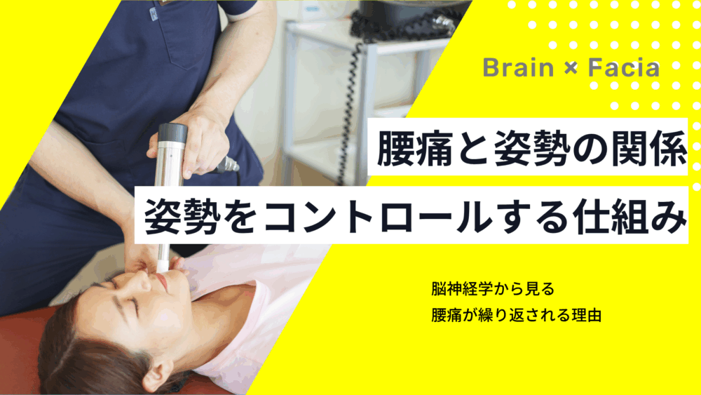 腰痛改善の新常識——姿勢をコントロールする脳と身体の仕組み