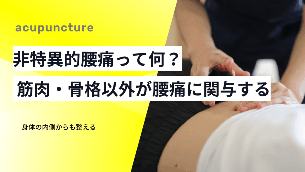 非特異的腰痛って何？筋肉・骨格以外の要因が腰痛に関与するメカニズム