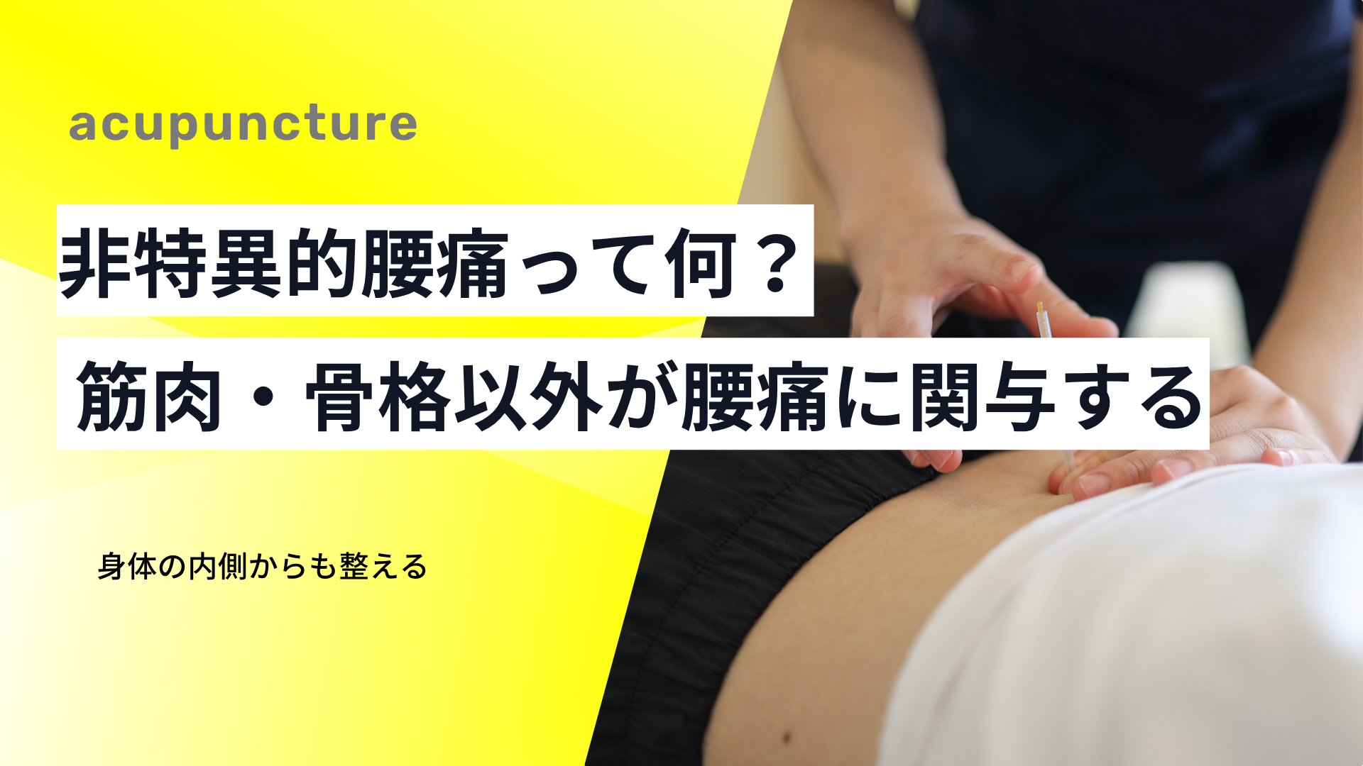 非特異的腰痛って何？筋肉・骨格以外の要因が腰痛に関与するメカニズム